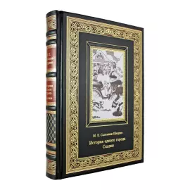 Книга в кожаном переплете "История одного города. Сказки" Салтыков-Щедрин М.Е.